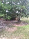 581 Nc Hwy 211 E photo